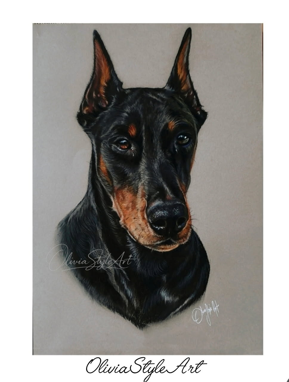 Portrait Dobermann