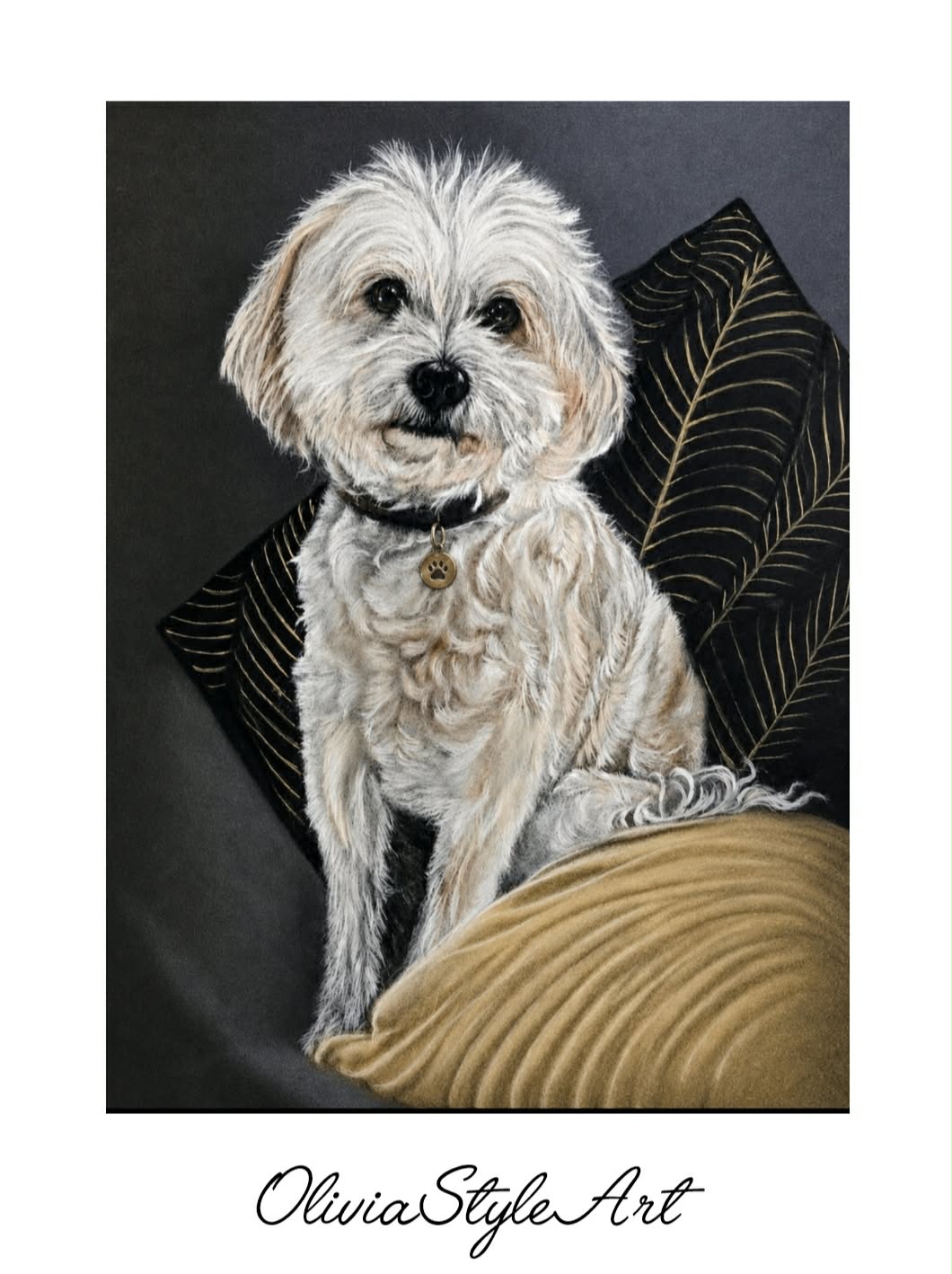 Portrait Coton de Tuléar et Bichon